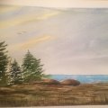 Kundenbild Aquarellfarbe W&N Cotman 8 ml Tube - 676 Vandyke Brown