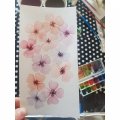 Kundenbild Aquarellfarbe W&N Cotman - Sketcher's Box 12 Farben