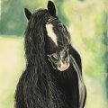 Kundenbild PanPastel - Permanentes Grün Extra Dunkel