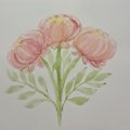 Kundenbild Aquarellfarbe W&N Cotman 8 ml Tube - 095 Cadmiumrotton