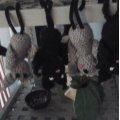 Kundenbild Pfeifenreiniger schwarz