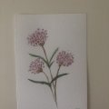 Kundenbild Aquarellkasten L&B aus Metall - 12 Tassen