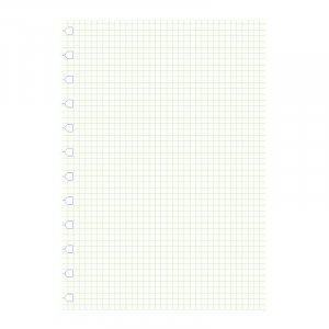 Nachfüllung für Filofax-Notizbuch - A4 Nachfüllung für Filofax-Notizbuch - A4