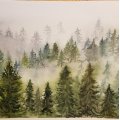 Kundenbild Aquarellblock, geklebte kaltgepresste B�gen, 300 g - A4