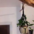 Kundenbild Juteschnur 2mm 40m - Schwarz