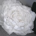 Kundenbild Krepppapier 50 x 250 cm - wei�