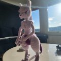 Kundenbild Lady 50g - Baby-Lavendel