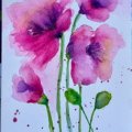 Kundenbild Aquarellfarbe W&N Cotman Half Cup - 502 Permanent Rose