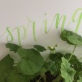 Kundenbild Pinselstift Aqua Squeeze - 1mm