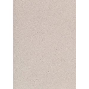 Karton natur A4 220 g Karton natur A4 220 g