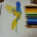 Kundenbild Aquarellblock, geklebte kaltgepresste B�gen, 300 g - A4