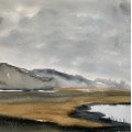 Kundenbild Aquarellfarbe ShinHan Premium PWC 15ml - Davy's Grey (690)