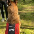 Kundenbild Beaver-Nylon - Farbcode: 4 - Rot - 150 cm