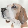 Kundenbild Aquarellblock, geklebt, rauer Hain, Bögen, 300 g - A3