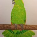 Kundenbild Aquarellblock, geklebte kaltgepresste B�gen, 300 g - A4