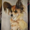 Kundenbild Accademia-Zeichenblock, 210x297 mm