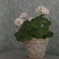 Kundenbild DAS Clay 1 kg Terrakotta
