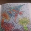 Kundenbild Progresso-Buntstifte - 12 Bleistifte