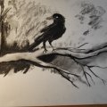 Kundenbild Zeichenkohle W&N - Vide Kohle Medium 3St