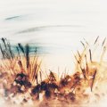 Kundenbild Aquarellfarbe W&N Cotman 8 ml Tube - 609 Sepia