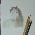 Kundenbild