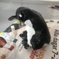 Kundenbild Keramischer Kunststoff - weiß 1.000 g Lufttrocknung