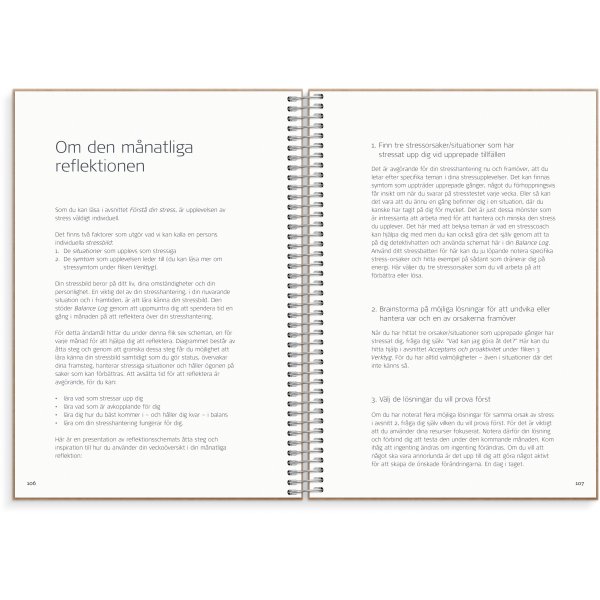 Bilanzprotokoll Bilanzprotokoll