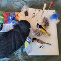 Kundenbild Filzwolle - Basismischung 50 g Merinowolle superfein