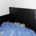 Kundenbild Nappalederimitat Schwarz - 140 cm