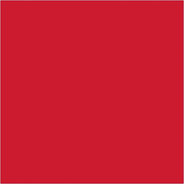 Seidenpapier - rot - 50 x 70 cm - 14 g - 25 Blatt Seidenpapier - rot - 50 x 70 cm - 14 g - 25 Blatt