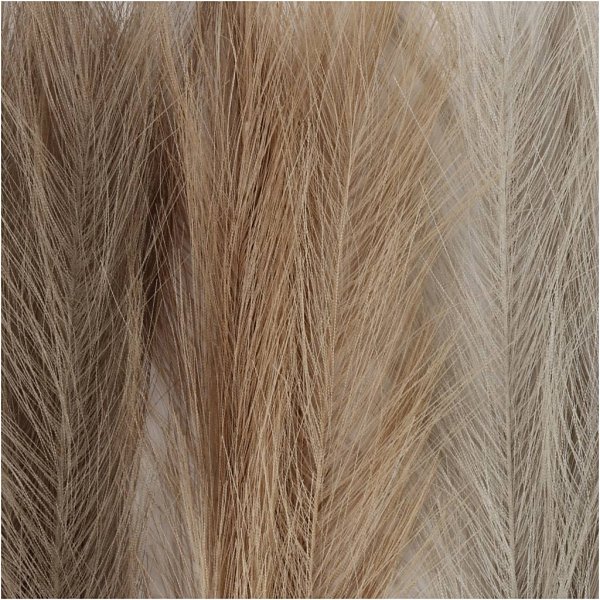 Pampasgras - Elfenbein - Hellbraun - Hellgrau - 3 Stk Pampasgras - Elfenbein - Hellbraun - Hellgrau - 3 Stk