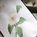 Kundenbild Aquarellbuch Hahnemühle 200g - A5
