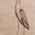 Kundenbild Aquarellstift Albrecht Dürer - 102 Creme