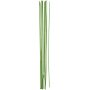 Bltenstiele - grn - 2 mm - 20 Stk
