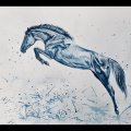 Kundenbild Aquarellfarbe W&N Cotman Half Cup - 327 Intensives Blau