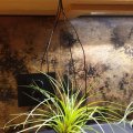 Kundenbild Aluminiumdraht ø 2 mm - schwarz 5 m / ~ 42 g