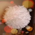 Kundenbild Dekofeder 50-100 mm - Vanille 10 g ~ 110er-Pack
