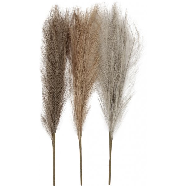 Pampasgras - Elfenbein - Hellbraun - Hellgrau - 3 Stk Pampasgras - Elfenbein - Hellbraun - Hellgrau - 3 Stk