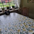 Kundenbild Wachstuch PVC Zitrone - Gelb