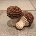 Kundenbild DROPS Safran Uni Colour Garn - 50 g - Hellbraun (22)